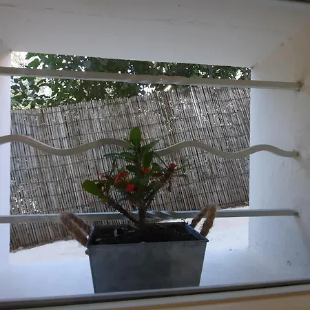 Les Bois Flottes . De La Verne Privat bolig La Seyne-sur-Mer